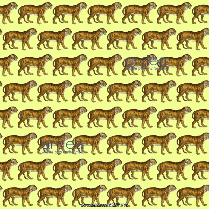 : Tigers repeating pattern Digital Manipulation: Tigers (MEPL) : Tigers repeating pattern Digital Manipulation: Tigers (MEPL)
