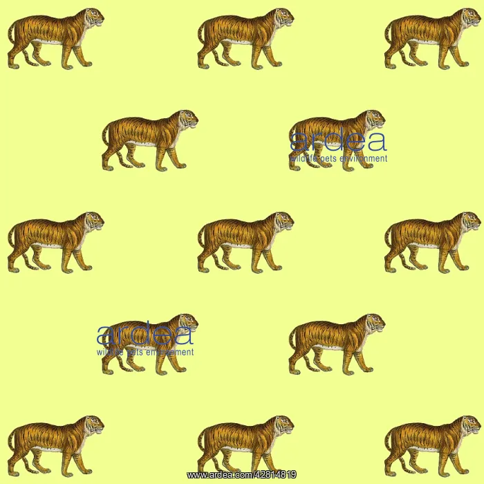: Tigers repeating pattern Digital Manipulation: Tigers (MEPL) : Tigers repeating pattern Digital Manipulation: Tigers (MEPL)
