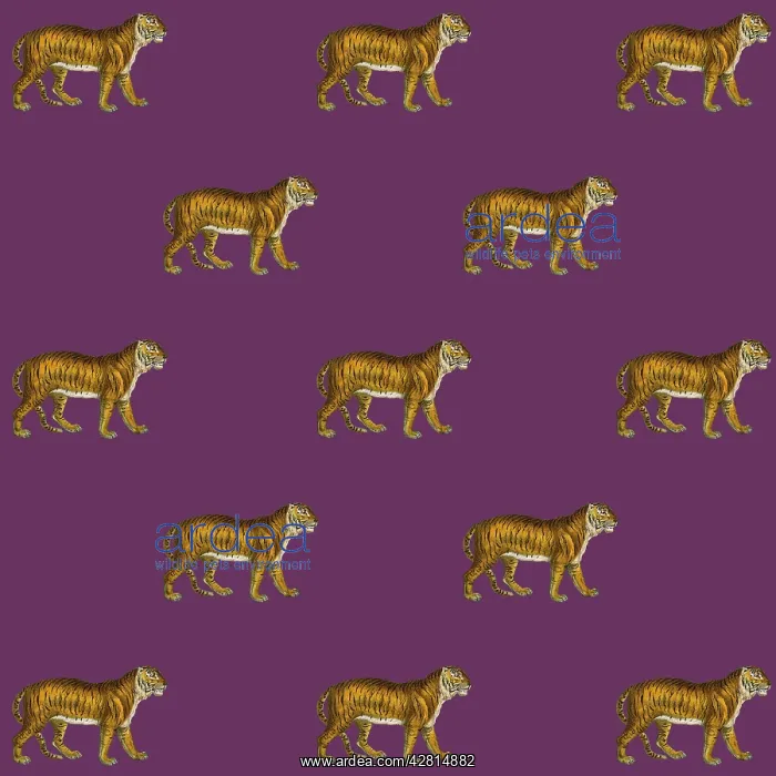 : Tigers repeating pattern Digital Manipulation: Tigers (MEPL) : Tigers repeating pattern Digital Manipulation: Tigers (MEPL)
