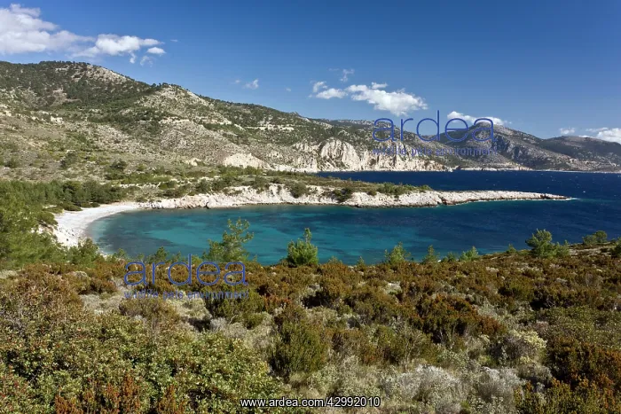 : Tighani Bay : Tighani Bay