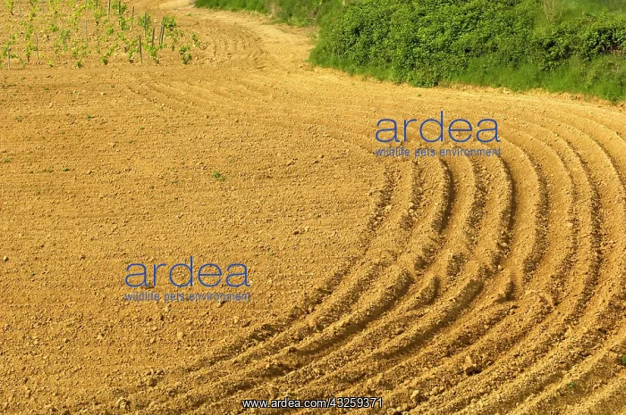 : Tilled ground ready for planting near the : Tilled ground ready for planting near the