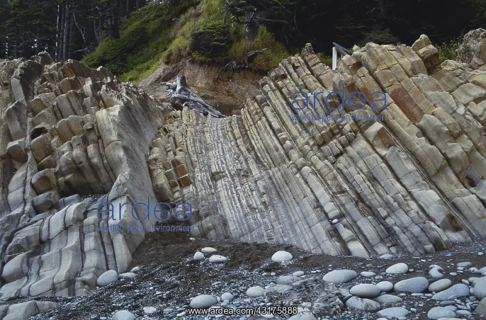: Tilted Rocks in Washington : Tilted Rocks in Washington
