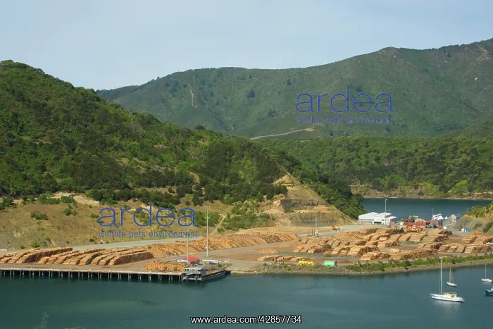 : Timber trade - storage place for timber felled : Timber trade - storage place for timber felled