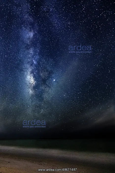 : A time-lapse image of the stars and Milky Way, Florida : A time-lapse image of the stars and Milky Way, Florida