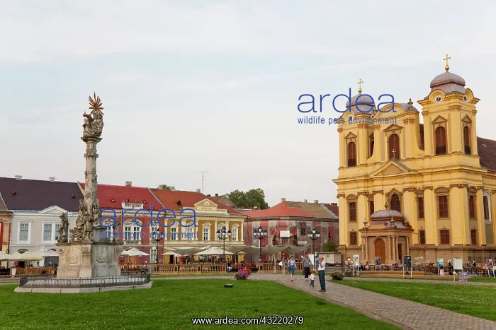 : Timisoara in the Banat of Romania, Roman : Timisoara in the Banat of Romania, Roman