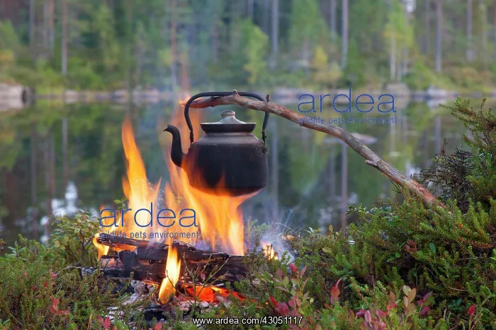  : Tin kettle Tin Kettle on camp fire Sweden