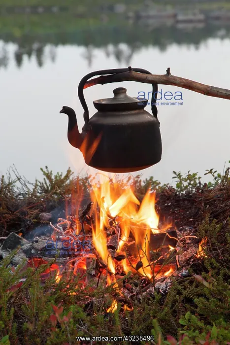  : Tin kettle Tin Kettle on camp fire Sweden