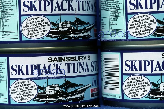 : Tins of Sainsbury dolphin friendly pole and line : Tins of Sainsbury dolphin friendly pole and line
