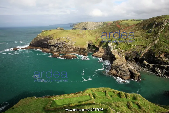 : Tintagel Castle - view from castle ruins looking : Tintagel Castle - view from castle ruins looking