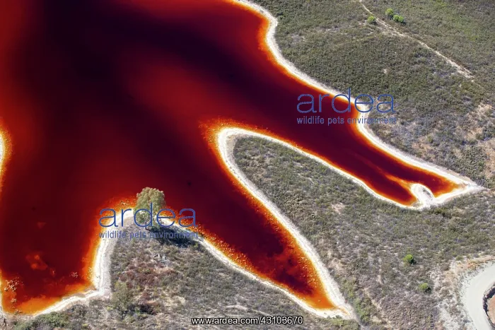 : Tinto river, Huelva, Spain : Tinto river, Huelva, Spain