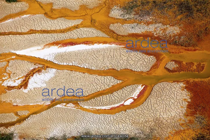 : Tinto river, Huelva, Spain : Tinto river, Huelva, Spain