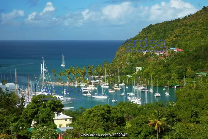 : The tiny harbor of Marigot Bay on the west : The tiny harbor of Marigot Bay on the west