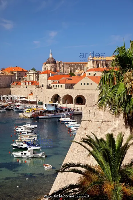 : The tiny harbor and orange roofs of old : The tiny harbor and orange roofs of old