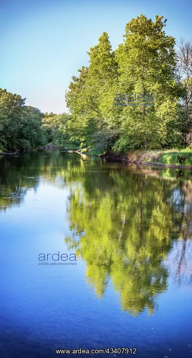 : Tippecanoe River reflections, Tippecanoe State Park : Tippecanoe River reflections, Tippecanoe State Park