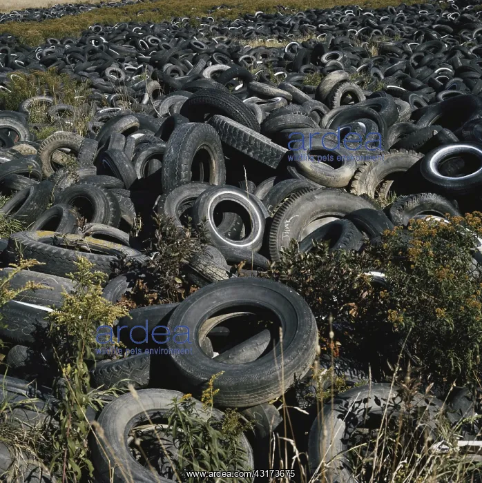 : Tire Dump. Used tires covering acres of land : Tire Dump. Used tires covering acres of land
