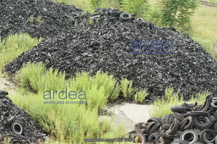 : Tire Junkyard : Tire Junkyard