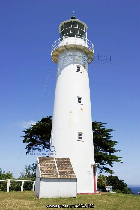 : Tiritiri lighthouse - built in 1864 is one of a : Tiritiri lighthouse - built in 1864 is one of a