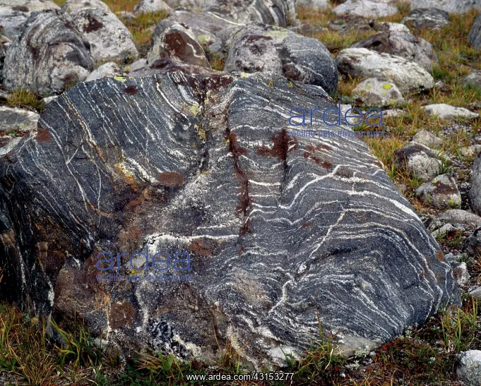  : Titcomb Basin Boulder