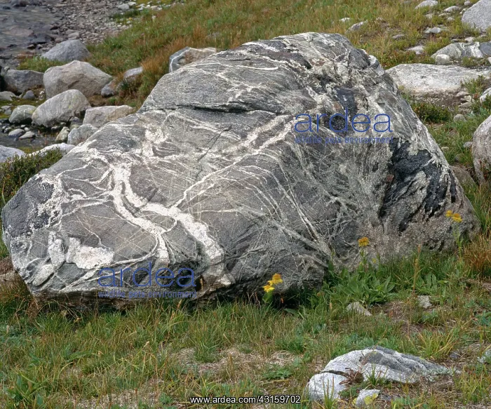  : Titcomb Basin Boulder
