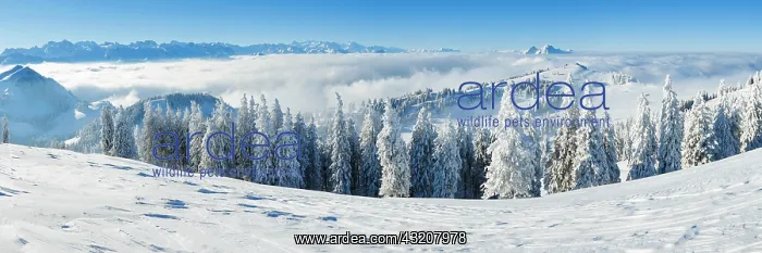 : Titlis, Bernese Alps and Pilatus, Switzerland, Europe : Titlis, Bernese Alps and Pilatus, Switzerland, Europe