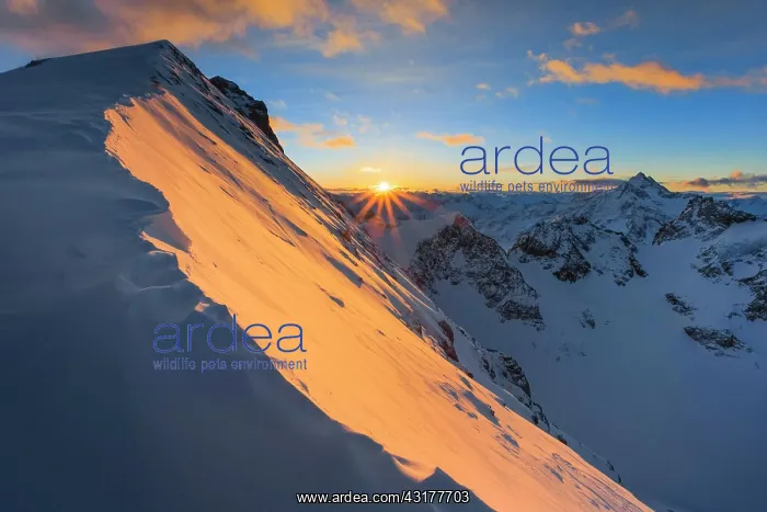 : Titlis, Obwalden / Bern, Switzerland, Europe : Titlis, Obwalden / Bern, Switzerland, Europe