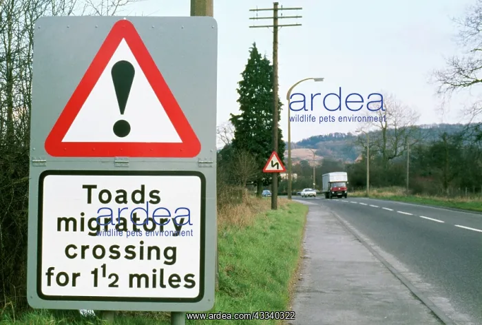  : Toad - crossing sign