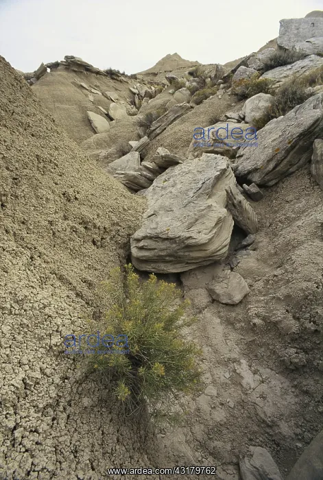 : Toadstool Geologic Park : Toadstool Geologic Park
