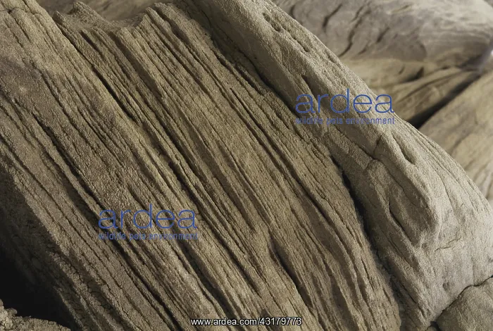: Toadstool Geologic Park : Toadstool Geologic Park