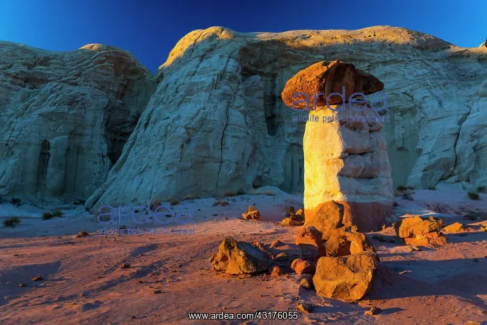 : Toadstool Hoodoos, Grand Staircase-Escalante National : Toadstool Hoodoos, Grand Staircase-Escalante National