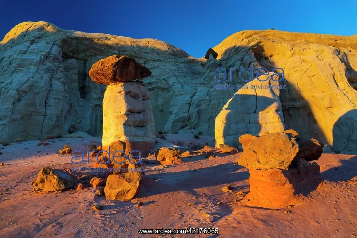 : Toadstool Hoodoos, Grand Staircase-Escalante National : Toadstool Hoodoos, Grand Staircase-Escalante National
