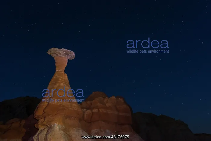 : Toadstool Hoodoos, Grand Staircase-Escalante National : Toadstool Hoodoos, Grand Staircase-Escalante National