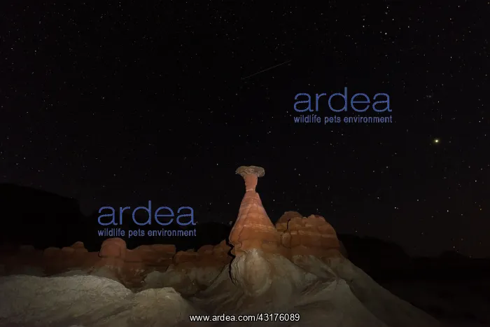 : Toadstool Hoodoos, Grand Staircase-Escalante National : Toadstool Hoodoos, Grand Staircase-Escalante National