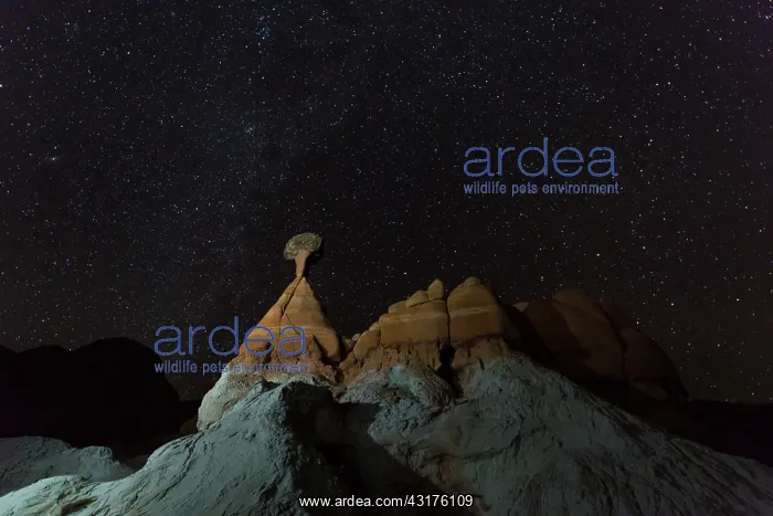 : Toadstool Hoodoos, Grand Staircase-Escalante National : Toadstool Hoodoos, Grand Staircase-Escalante National