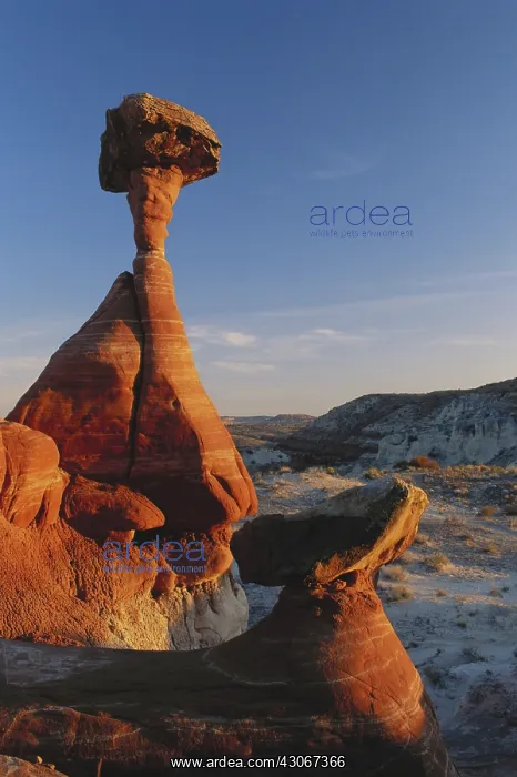 : Toadstool Rocks in Utah : Toadstool Rocks in Utah