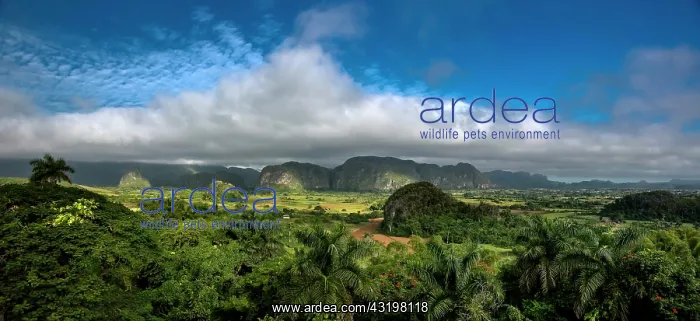 : Tobacco fields and the Mogotes karst mountains : Tobacco fields and the Mogotes karst mountains