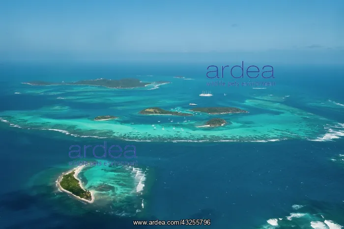: Tobago Cays and Mayreau Island, St. Vincent : Tobago Cays and Mayreau Island, St. Vincent