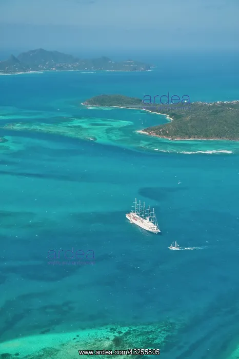 : Tobago Cays and Mayreau Island, St. Vincent : Tobago Cays and Mayreau Island, St. Vincent