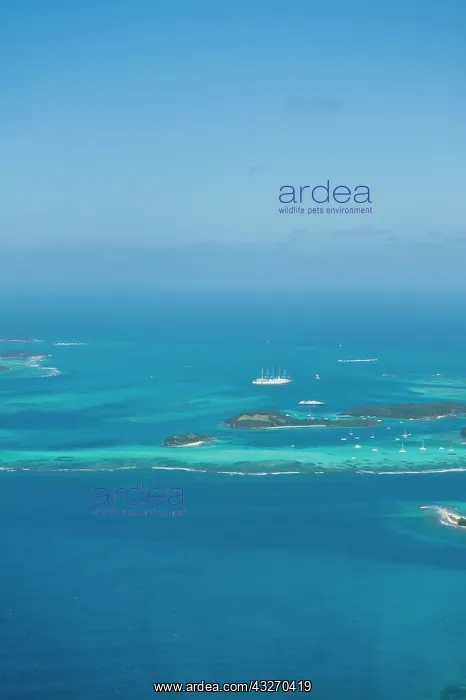 : Tobago Cays and Mayreau Island, St. Vincent : Tobago Cays and Mayreau Island, St. Vincent