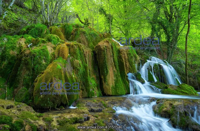 : Toberia Falls, Andoin, Sierra Entzia Natural Park : Toberia Falls, Andoin, Sierra Entzia Natural Park