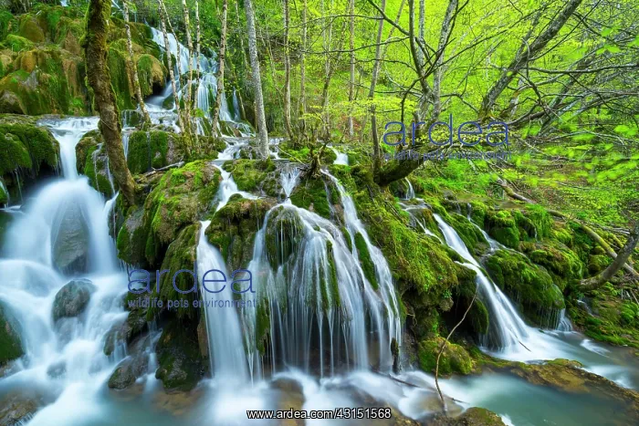 : Toberia Falls, Andoin, Sierra Entzia Natural Park : Toberia Falls, Andoin, Sierra Entzia Natural Park