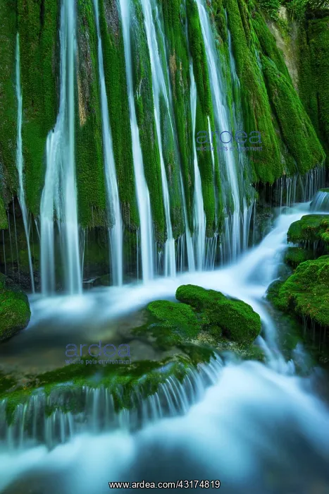 : Toberia falls, Andoin, Sierra Entzia Natural Park : Toberia falls, Andoin, Sierra Entzia Natural Park
