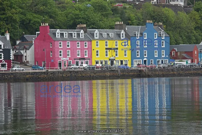 : Tobermory Harbour : Tobermory Harbour