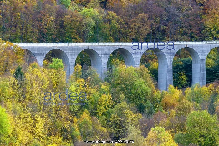 : Todtsburg bridge, Albaufstieg of the A8 motorway : Todtsburg bridge, Albaufstieg of the A8 motorway