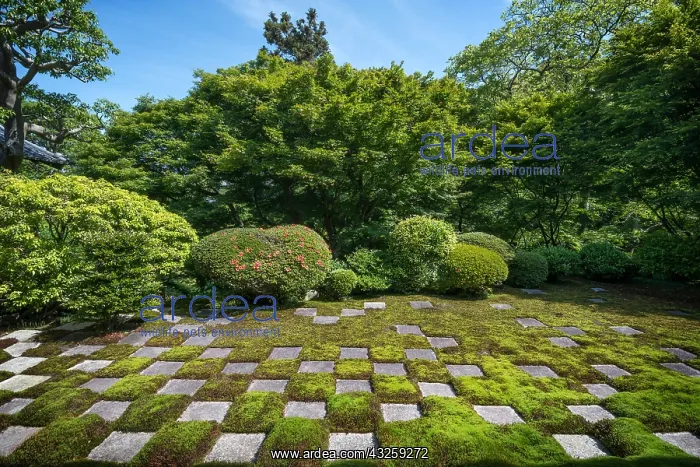 : Tofukuji's garden at Ky&, x134bec; Japan : Tofukuji's garden at Ky&, x134bec; Japan