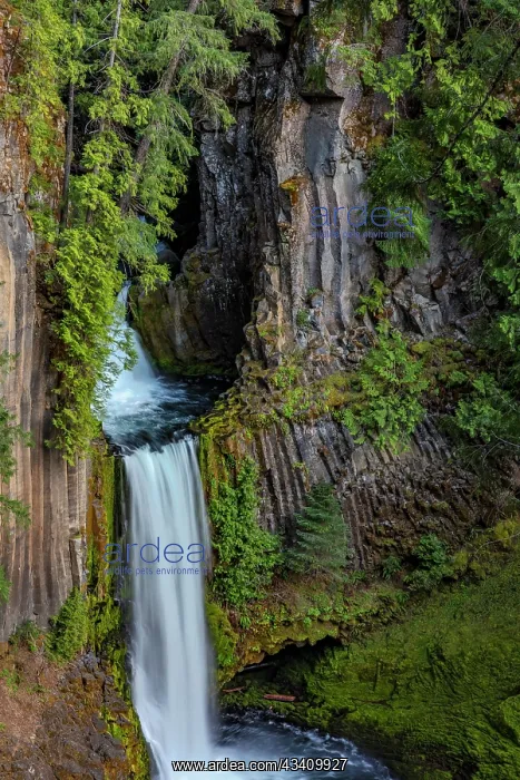 : Toketee Falls runs over basalt columns in the Umpqua : Toketee Falls runs over basalt columns in the Umpqua