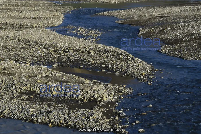 : Toklat River in Alaska : Toklat River in Alaska