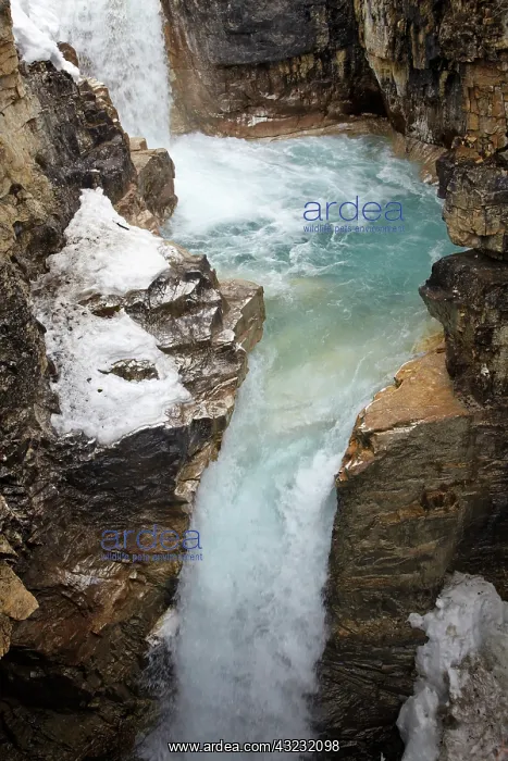 : Tokumm Creek plunging into Marble Canyon : Tokumm Creek plunging into Marble Canyon