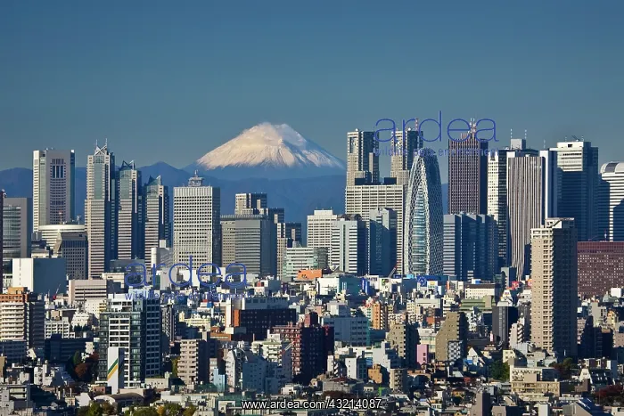 : Tokyo, Shinjuku District Skyline, Mount : Tokyo, Shinjuku District Skyline, Mount