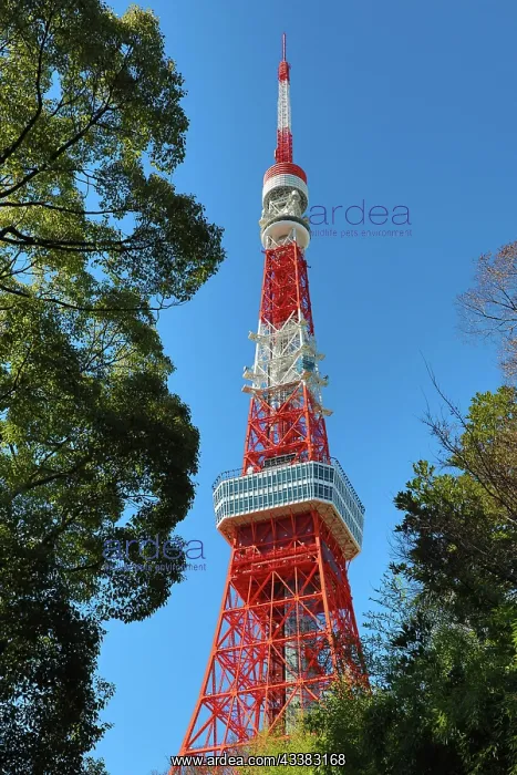 : Tokyo Tower in Tokyo, Japan : Tokyo Tower in Tokyo, Japan
