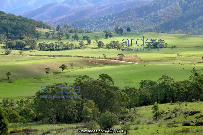 : Tom Groggin cattle Station - At the foot of Mt Kosciuszko : Tom Groggin cattle Station - At the foot of Mt Kosciuszko